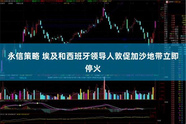 永信策略 埃及和西班牙领导人敦促加沙地带立即停火