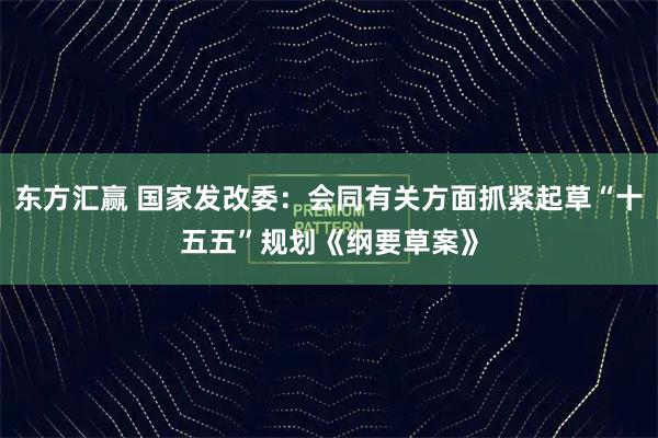 东方汇赢 国家发改委:会同有关方面抓紧起草“十五五”规划《纲要草案》