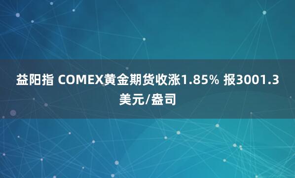 益阳指 COMEX黄金期货收涨1.85% 报3001.3美元/盎司